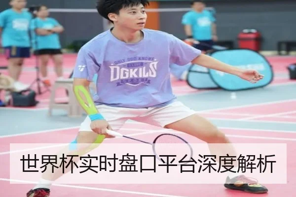 世界杯实时盘口平台深度解析