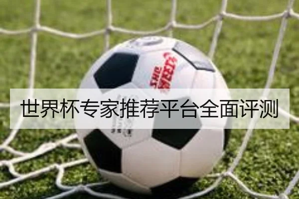 img_1781350711854_332_1_461.jpg