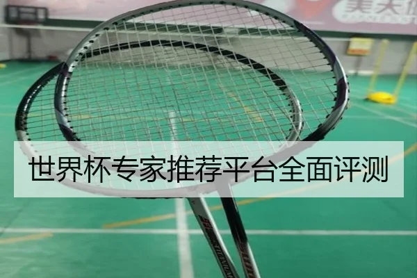 世界杯专家推荐平台全面评测