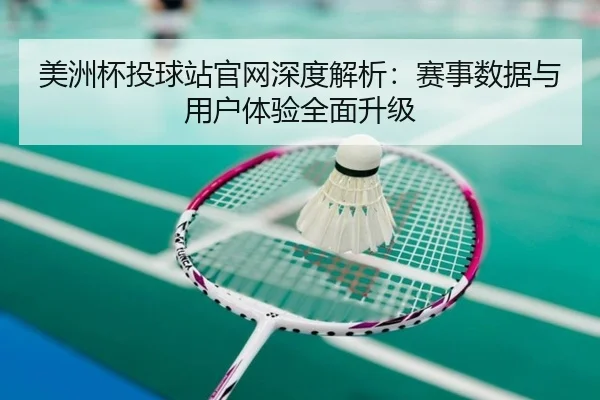 美洲杯投球站官网深度解析：赛事数据与用户体验全面升级